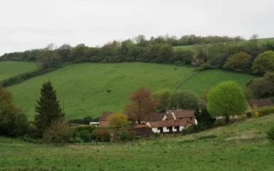 Mushroom Foraging Course – Blackford Hill – Edinburgh – Saturday 15 October